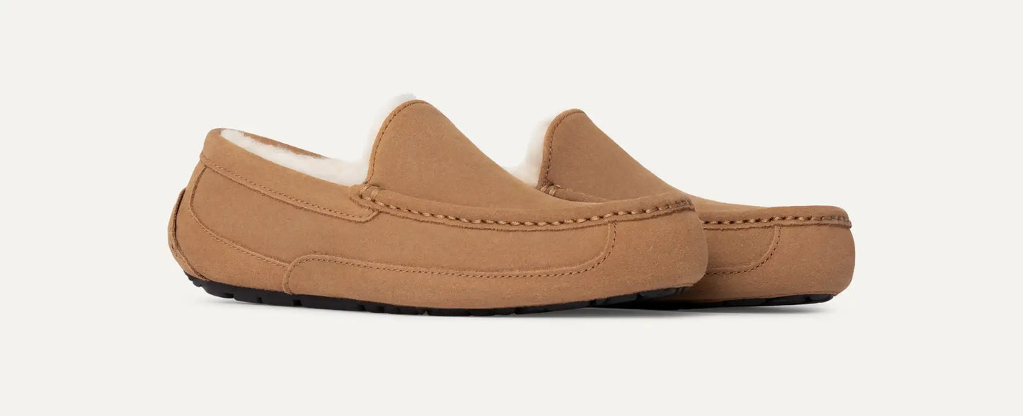 UGG Men's Ascot Slipper SLIPPERS UGG AUSTRALIA