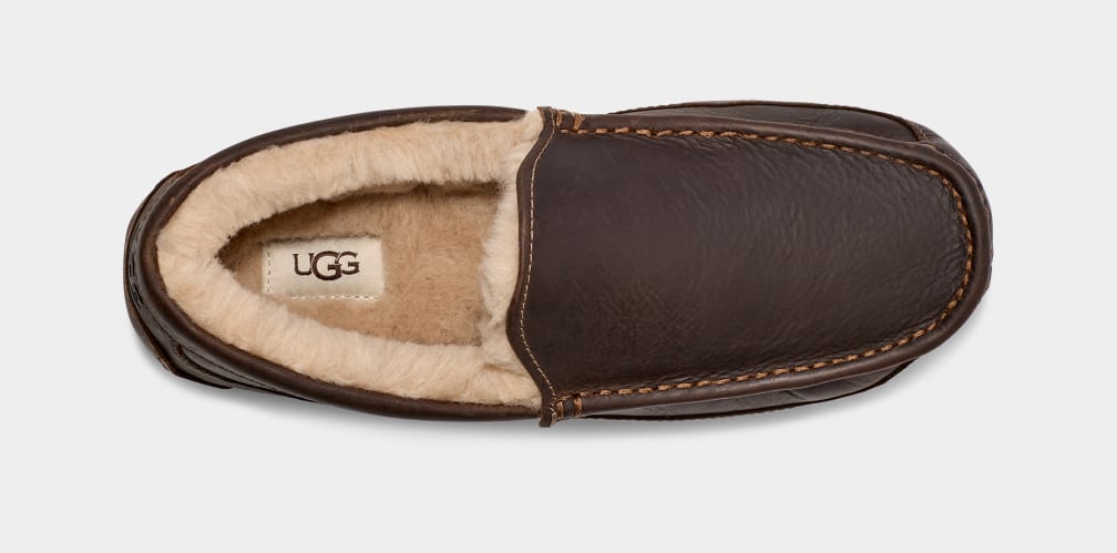 UGG Men's Ascot Leather SLIPPERS UGG AUSTRALIA