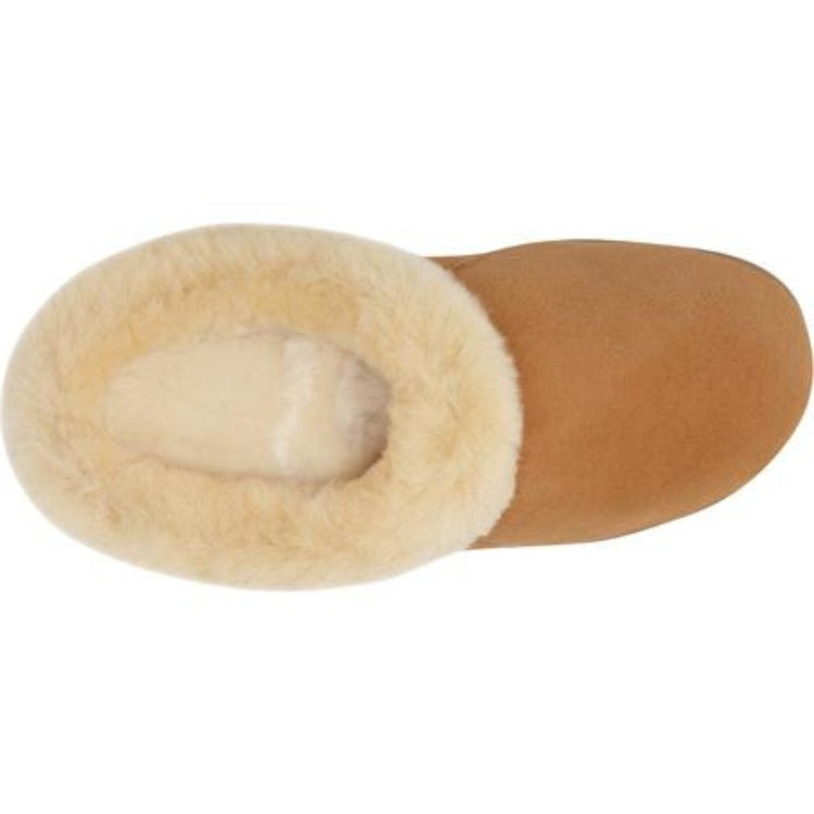 Women's Ewe Collar Sheepskin Slipper Slippers ACORN