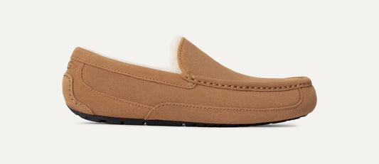 UGG Men's Ascot Slipper SLIPPERS UGG AUSTRALIA 8R Chestnut