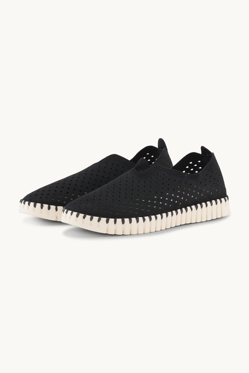 Women's Tulip 139 SHOES ILSE JACOBSEN 36 Black