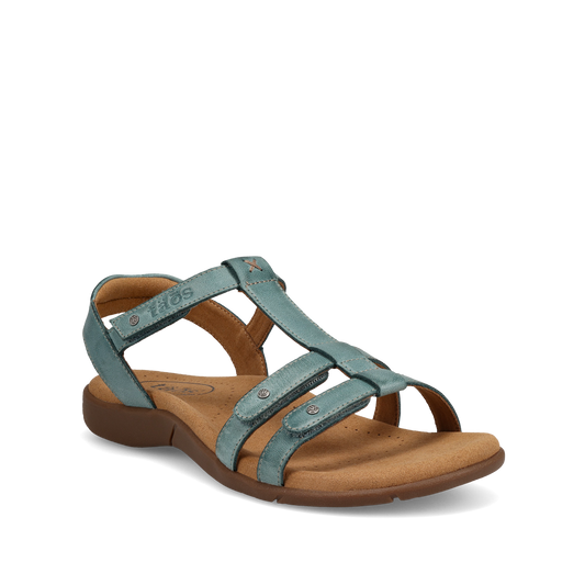 Taos Trophy 2 SHOES TAOS 7 Teal